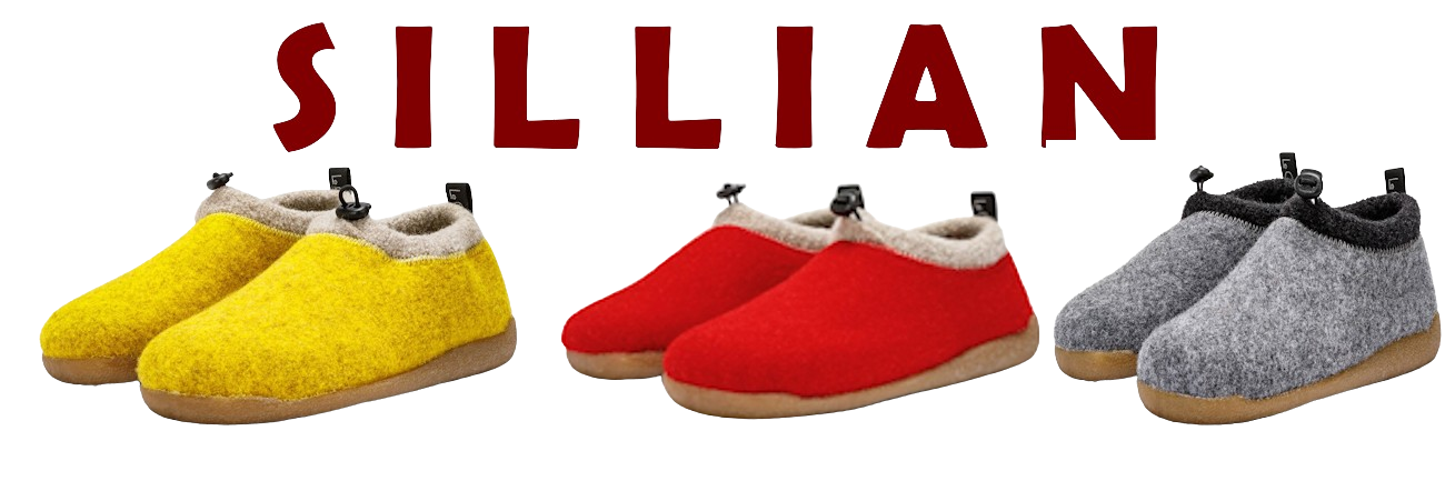 nuova immagine sito web sillian